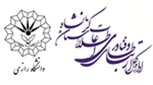 نشست  تعاملی ICT استان کرمانشاه  و دانشگاه رازی برگزارشد