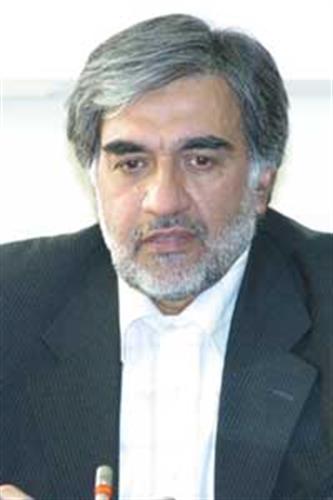 معاون فناوری اطلاعات خبر داد: برخورداری کشورها از نام‌های دامنه با خط و زبان بومی