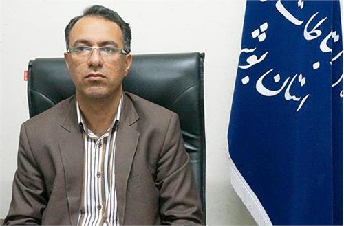 پیشرفت 80 درصدی شبکه فیبر نوری زیر ساخت، در استان بوشهر