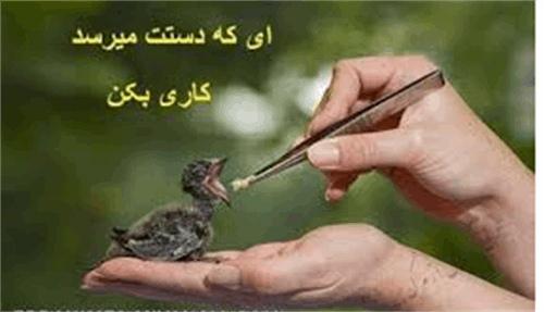 دستگیری