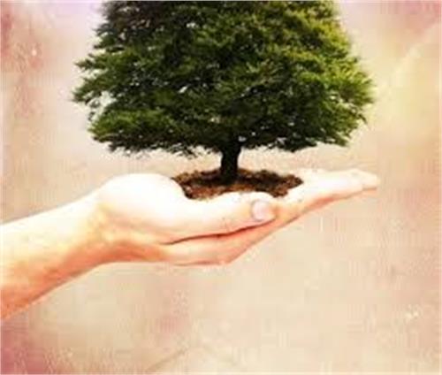الهام از طبیعت - عکس