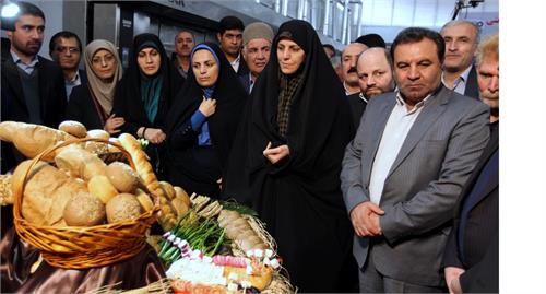 مولاوردی بزرگترین مجتمع صنعتی نان جنوب کشور را افتتاح کرد